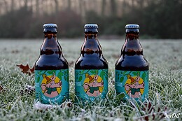 Huisbrouwerij Den Tseut