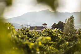 CELLER JOSEP FORASTER