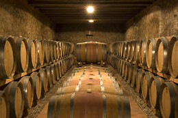 CELLER JOSEP FORASTER