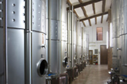 CELLER JOSEP FORASTER