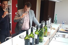 LSDA Vin de France