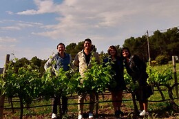 LSDA Vin de France