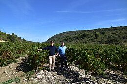 LSDA Vin de France