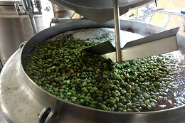 Brouwerij Vagebond