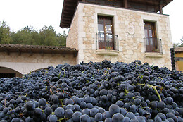 BODEGAS ISMAEL ARROYO - VALSOTILLO