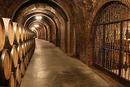 BODEGAS ISMAEL ARROYO - VALSOTILLO