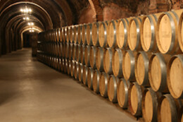 BODEGAS ISMAEL ARROYO - VALSOTILLO