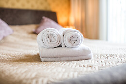 Hotel le Provencal