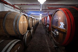 Brasserie Timmermans
