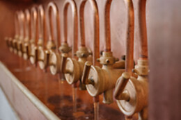 Brasserie Timmermans
