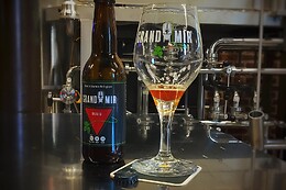 Brasserie du Grand Mir
