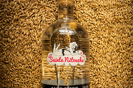 Brasserie Sainte-Nitouche