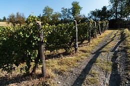 Azienda Agrituristica Dai Dellerba