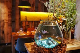 Oh Restaurant