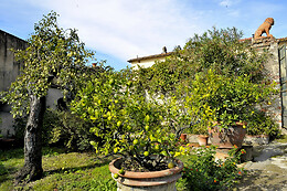 Tenuta San Donato