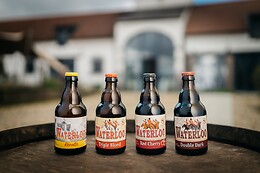 Brasserie de Waterloo