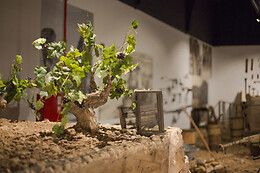 MUSEO DEL VINO CASA DE LA ERMITA