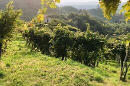 Colle Regina