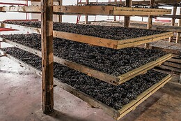 Azienda Agricola Mizzon
