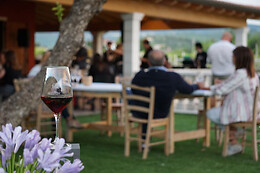 Azienda Agricola Mizzon
