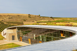 BODEGAS BERONIA