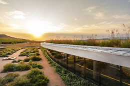 BODEGAS BERONIA