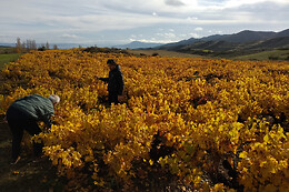 BODEGAS CAUDALÍA