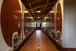 Cantina Wine Shop Badia di Morrona