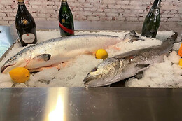 I Marinai di Napoli
