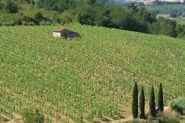 Pasqualetti Viticoltori