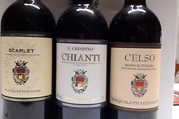 Pasqualetti Viticoltori