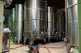 Tenuta Fertuna