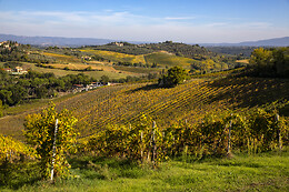 Azienda Agricola Palagetto