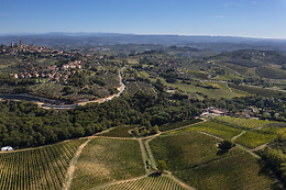 Azienda Agricola Palagetto