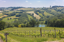 Cantina Il Poggio