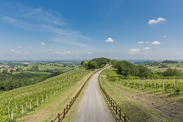 Cantina Il Poggio
