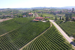 Azienda Agricola Cascina Albano S.S.A.