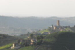 Azienda Agricola Cascina Albano S.S.A.