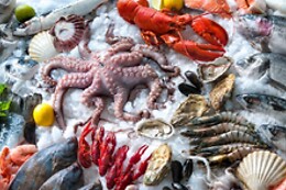 Torino Seafood Bar
