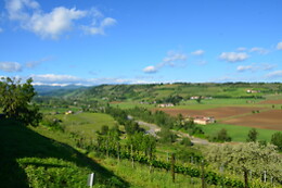 Montesissa
