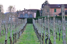 Montesissa