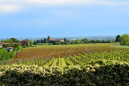 Montesissa