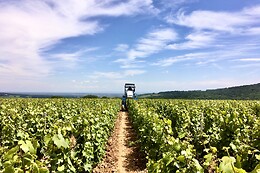 Domaine Joseph Lafarge