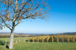 Domaine Joseph Lafarge