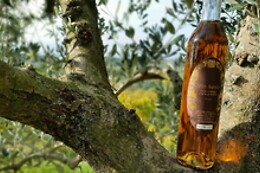 Fattoria Carmignani