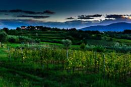 Fattoria Carmignani