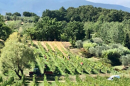 Fattoria Carmignani