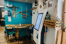 Chat'lounge Clermont-Ferrand