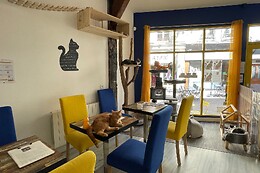 Troyes petits chats