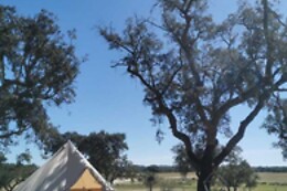 Direction South Glamping